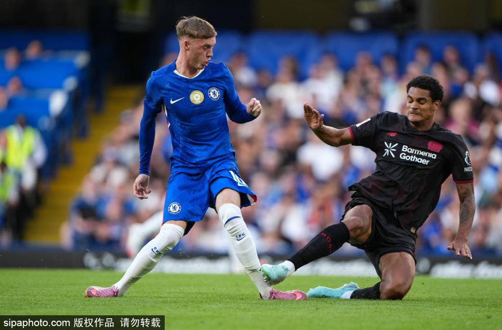 切尔西核心再伤6周!马雷斯卡如何应对蓝军伤病潮?